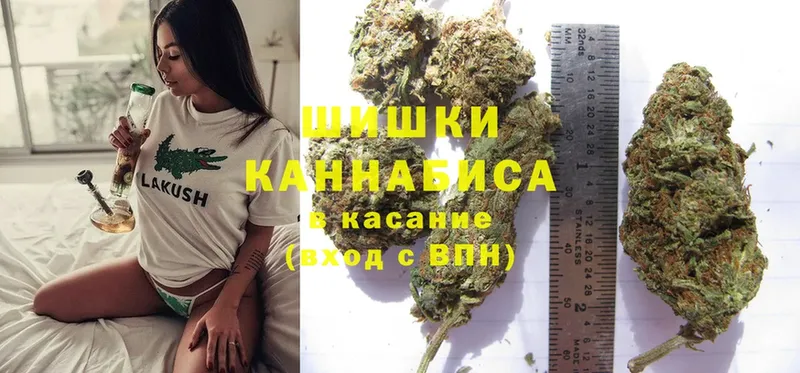 Бошки марихуана SATIVA & INDICA  Менделеевск 